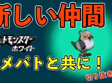 【ポケットモンスターホワイト】新しい仲間 マメパトと共に！[Tiktok配信 切り抜き動画]