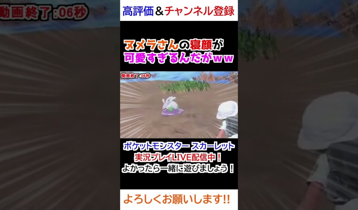 ヌメラさんの寝顔が可愛すぎるんだがｗｗ【ポケモンSV】