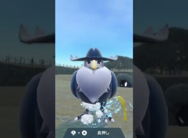 ドンカラス Honchkrow【ポケモンsv】