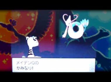 HGSS デンリュウvs銀クロツグ 無傷3タテ