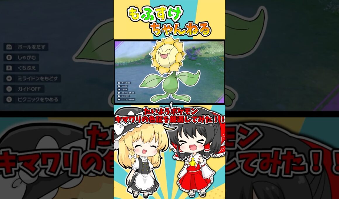 【ポケモンSV】色証キマワリを厳選してみた！！【ゆっくり実況】#shorts #ポケモンsv #色違い #色証