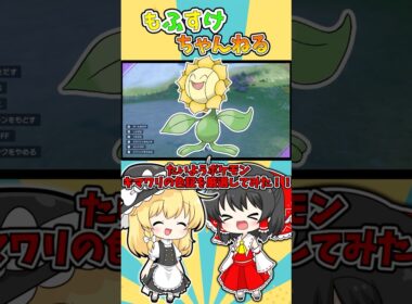 【ポケモンSV】色証キマワリを厳選してみた！！【ゆっくり実況】#shorts #ポケモンsv #色違い #色証