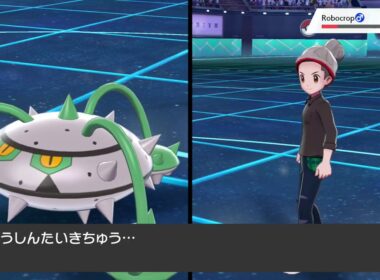 ポケモン ソード 通信対戦　VSナットレイ