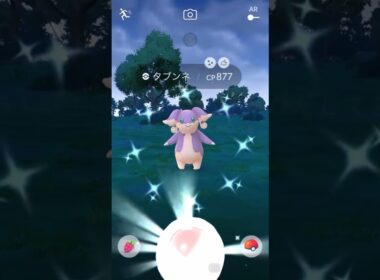 思い出の初get色違いポケモン〜 タブンネ 色違い！【 ポケモンgo 】ポケモンの色違い初めてはタブンネだったなぁすごい嬉しかったの覚えてる #pokemongo