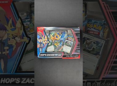 Hvad er der i en Hop’s Zacian ex Box?