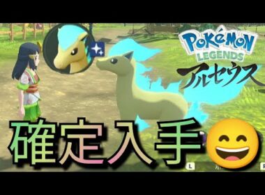 【神サブ任務】色違いポニータを確定で入手できる「おかしなポニータ目撃報告」をクリアしてみた！レジェンズアルセウス/Pokémon LEGENDS/ニンテンドースイッチ/序盤/黒曜の原野/蹄鉄ヶ原