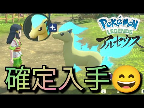 【神サブ任務】色違いポニータを確定で入手できる「おかしなポニータ目撃報告」をクリアしてみた！レジェンズアルセウス/Pokémon LEGENDS/ニンテンドースイッチ/序盤/黒曜の原野/蹄鉄ヶ原