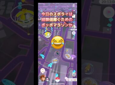 今日のスポライは経験値稼ぐためのポッポマラソンか🫣