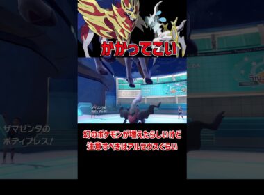 今の環境最強かもしれないザマゼンタ