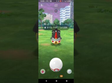 【ポケモンGO】タイレーツGETチャレンジ。8月24日