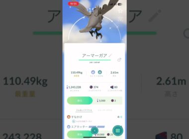 #Pokémon GO #色違いアーマーガア　#ポケモンゴー