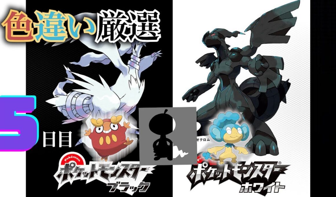 【ポケモンBW】4番道路(Shiny Pokémon)厳選(5日目) ~ヒヤップを添えて~