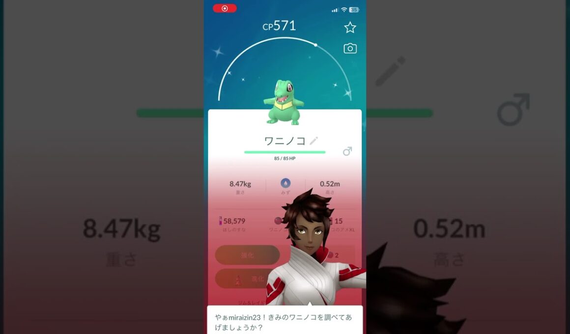 【Pokémon GO】ワニノコ コミュニティデイで、色違いワニノコ♂10体目GETした‼︎この個体値は？#pokemongo #shiny  #shorts  #shinypokemon