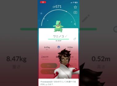 【Pokémon GO】ワニノコ コミュニティデイで、色違いワニノコ♂10体目GETした‼︎この個体値は？#pokemongo #shiny  #shorts  #shinypokemon
