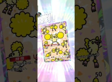 【ポケポケ】オドリドリVSコイルレアコイルピカチュウ