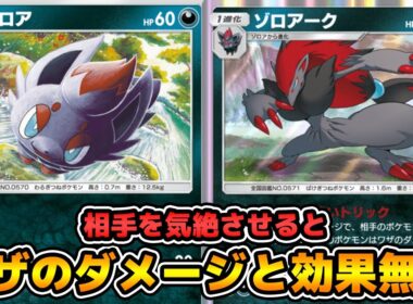 特性で相手のワザを無効化できる「ゾロアーク」使ってみた『ゾロアーク×ナマコブシ×ダークライex』デッキ【ポケポケ】