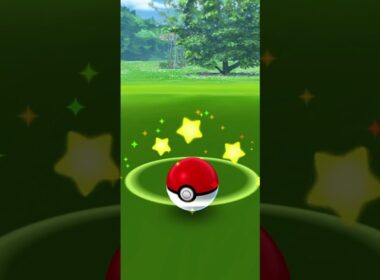【Pokémon GO】Shiny Bunnelby Get✨