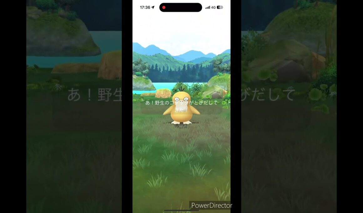 可愛いコダック #pokemon #ポケモン #ポケモンgo #コダック