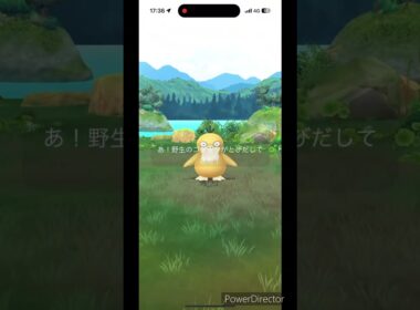 可愛いコダック #pokemon #ポケモン #ポケモンgo #コダック