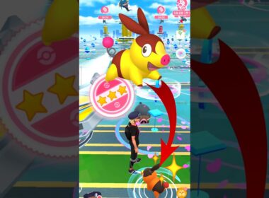 OMG! Got ✨ Shundo Tepig in Pokemon Go #pokemongo #pokémongo #pokemon #pokémon #shinypokemon