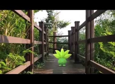 뚜벅쵸 ( Oddish ) ナゾノクサ ( 走路草 )  (16:9)