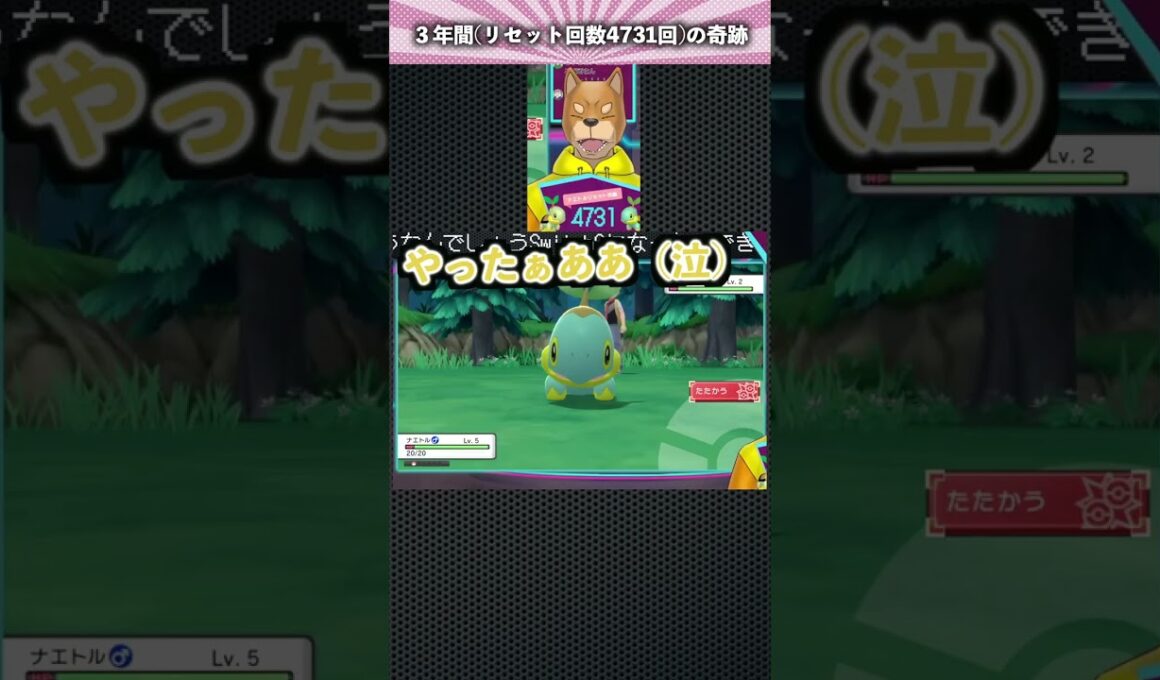【#ポケモンBDSP】３年間リセット回数4731回の奇跡【#色違いナエトル】 #YKMShorts #Shorts
