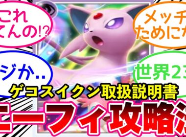 【永久保存版】世界23位が教えるvsエーフィニンフ立ち回り講座【ポケポケ】Pokémon Trading Card Game Pocket