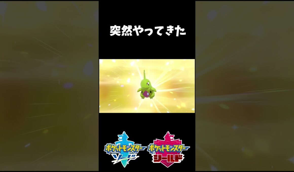 突然やってきた色違いヨーギラス #shorts #ポケモン剣盾 #ヨーギラス #色違い #孵化作業