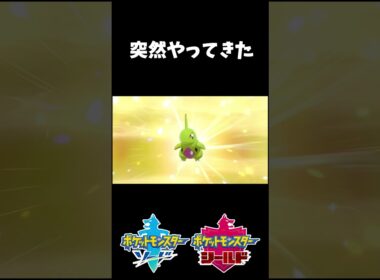 突然やってきた色違いヨーギラス #shorts #ポケモン剣盾 #ヨーギラス #色違い #孵化作業