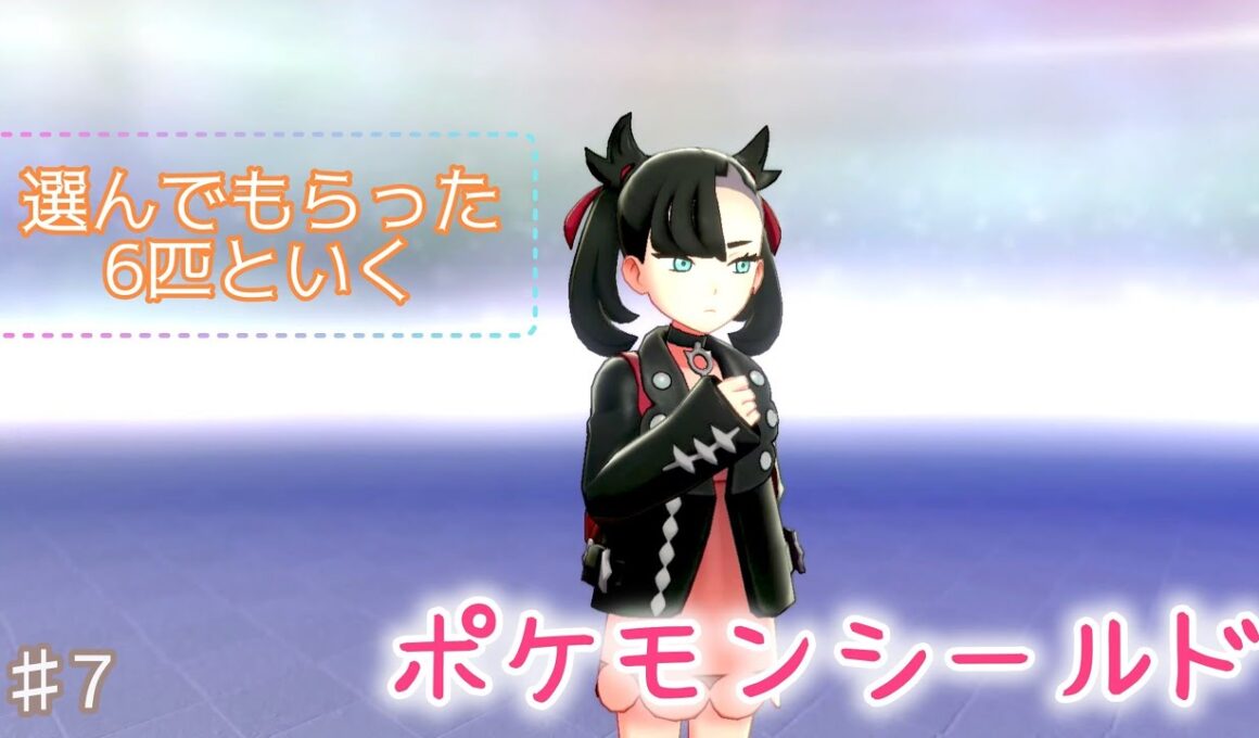 ♯7  エール団は多分カメラ持って追いかけてる【ポケモンシールド】