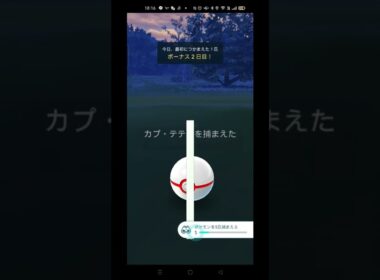 【ポケモンGO】カプ・テテフ　#shorts #ポケモンgo 　