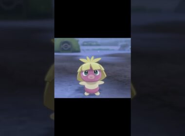 駆け寄ってくるムチュール　#Shorts