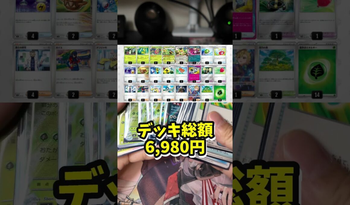 メガニウム＆オーガポンexデッキ紹介【ポケカ】