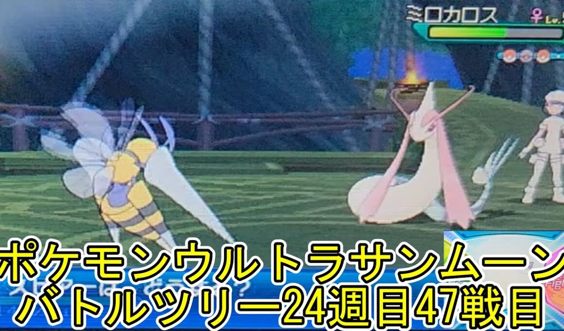ポケモンウルトラサンムーンバトルツリー24週目47戦目