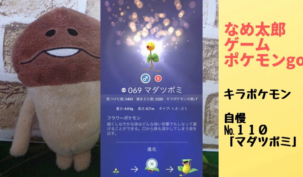 なめ太郎のキラポケモン自慢コーナーナンバー１１０、「マダツボミ」【ポケモンgo】