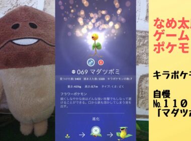 なめ太郎のキラポケモン自慢コーナーナンバー１１０、「マダツボミ」【ポケモンgo】