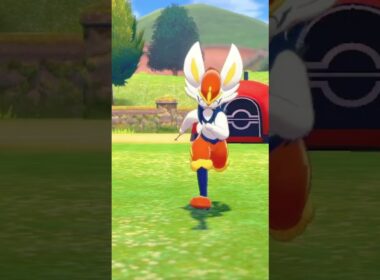 エースバーンを愛でるかい #ポケモン #エースバーン