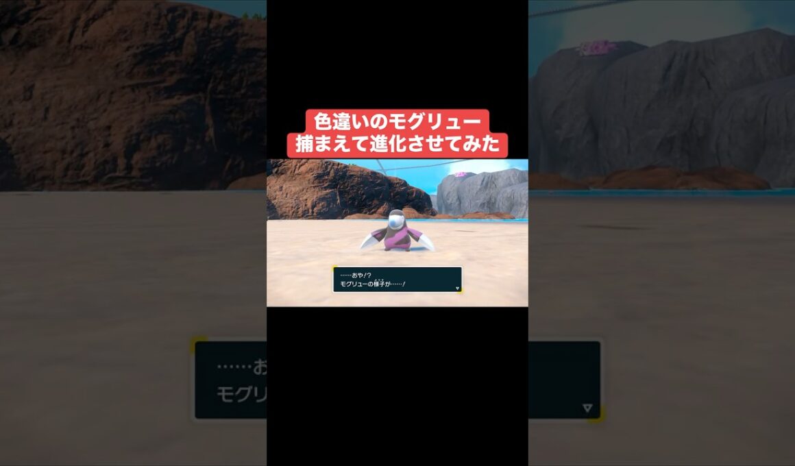 色違いのモグリュー捕まえてドリュウズに進化させてみた