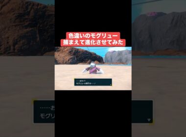 色違いのモグリュー捕まえてドリュウズに進化させてみた