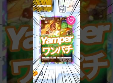 ワンパチ Yamper ❤️ 未知なる水域 A4a 環境 ポケポケ ポケモン ポケモンポケット Pokemon Pokémon Trading Card Game Pocket ポケカ tcg カード