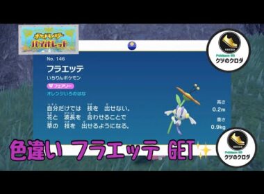【ポケモンSV】Shiny Floette GET✨ Florges Evolve 🔥