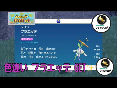 【ポケモンSV】Shiny Floette GET✨ Florges Evolve 🔥
