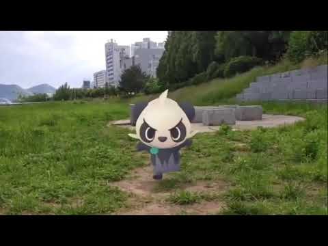 판짱 ( Pancham ) ヤンチャム ( 頑皮熊貓 )  (16:9)