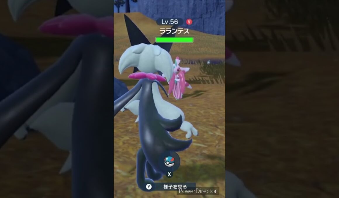 【ポケモンバイオレット】ラランテスがゲットさせてくれない　#ポケモンバイオレット #ゲームリハビリ