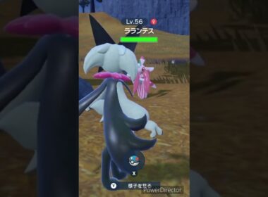 【ポケモンバイオレット】ラランテスがゲットさせてくれない　#ポケモンバイオレット #ゲームリハビリ