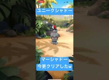 ポケモンGO ユニークシャドーマーシャドー　今更GETしました‼️