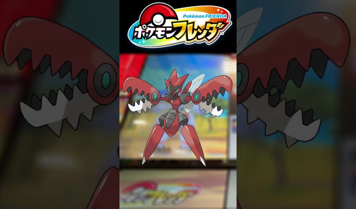 【フレンダ ベストタッグ2だん】最新情報② #ポケモン  #フレンダ #ポケモンフレンダ #ベストタッグ2だん #最新情報