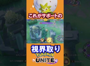 視界の広さがシラガの強み