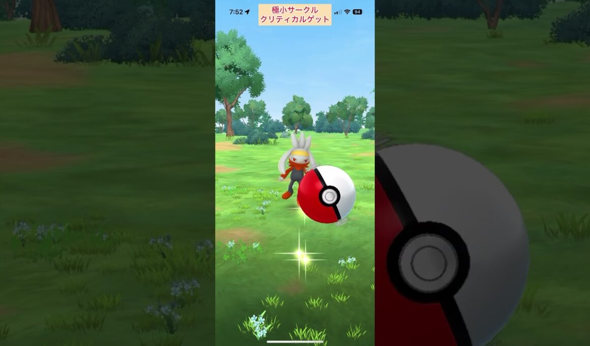 【難易度低】ラビフット極小サークルクリティカルゲット【ポケモンGO】