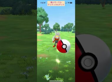 【難易度低】ラビフット極小サークルクリティカルゲット【ポケモンGO】